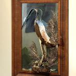 BLUE HERRON MIRROR assemblage