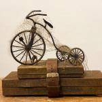 COBWEBS assemblage