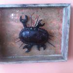 THE CRAB, assemblage, 12 x 15"  SOLD