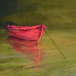 STARLIGHT (Red Dory) oil 8 x 10