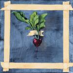 SINGLE RADISH MASKING TAPE oil on canvas 12 x 12"
