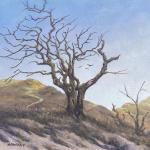 WIND-PRUNED oil on canvas  10 x 10"
