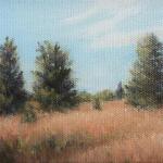 EASTERN RED CEDARS, miniature, oil on canvas, 4 x 6"