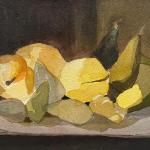 Cavendish's Pears (aka Enlightenment Pears), watercolor on paper, 