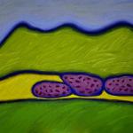 SPRING IN VERMONT acrylic